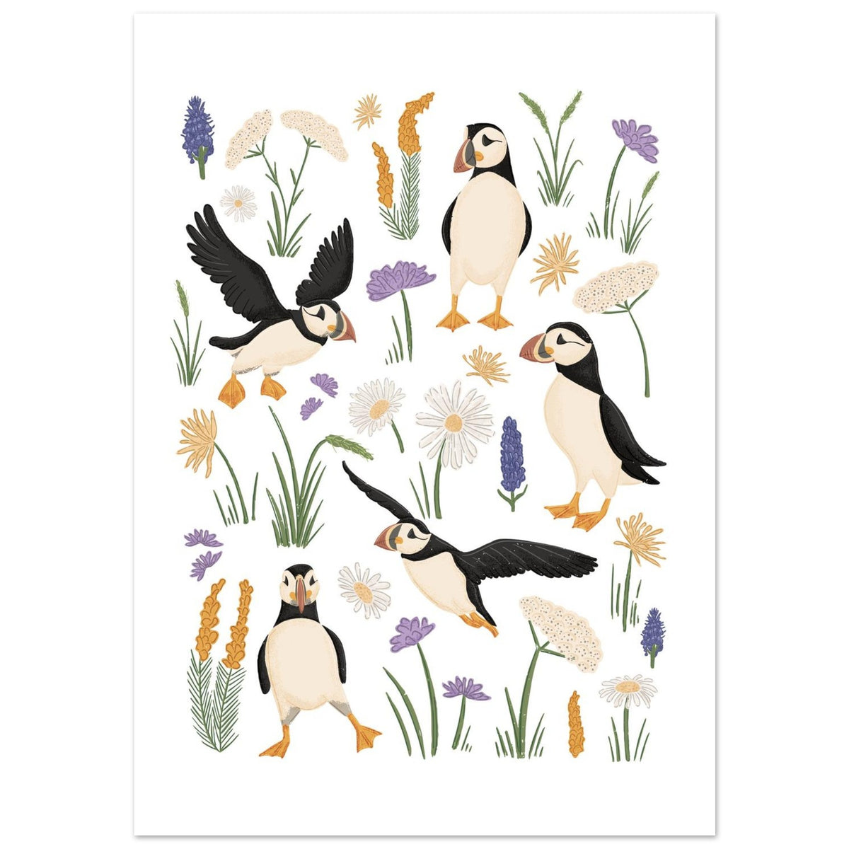 Unframed puffin art print featuring hand-drawn seabirds, sea holly and soft earthy coastal colours on a light background.