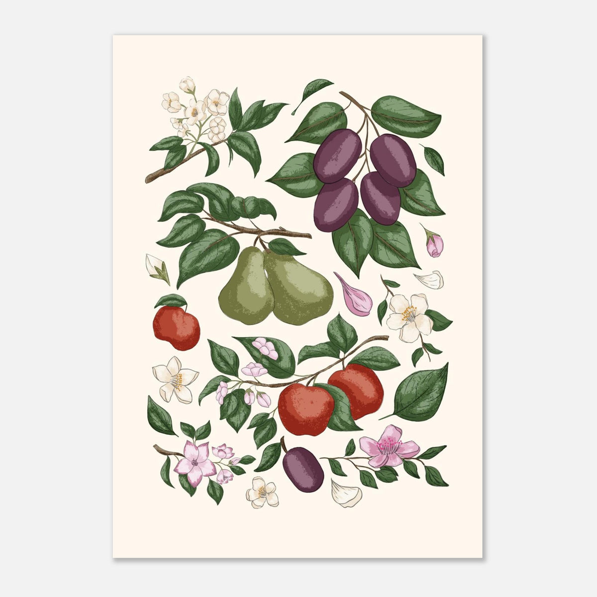 Unframed orchard fruit art print featuring figs, plums, apples, pears and green foliage on a warm off-white background