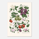 Unframed Galatians 5:22–23 Christian art print featuring orchard fruits and green foliage on a warm off-white background.