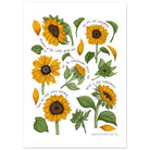 Unframed sunflower art print with warm yellow, terracotta and sage green botanical colours.
