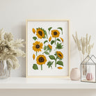 Hand-drawn sunflower botanical art print in a light wood frame featuring golden blooms and sage green foliage on a warm neutral background.