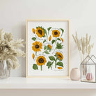 Hand-drawn sunflower botanical art print with golden yellow flowers and sage green leaves on a warm neutral background.